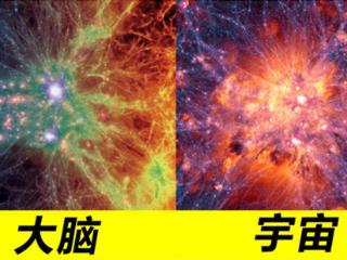 研究发现：人类大脑和宇宙高度相似，这意味着什么？