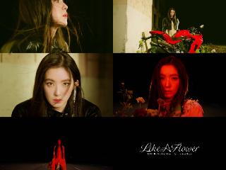 Red Velvet成员IRENE首张Solo专辑《Like A Flower》正式发行未公开曲目音源！