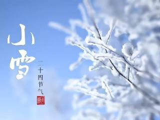 明日小雪，不管有钱没钱，牢记多吃“小雪4宝”，健康舒服过寒冬