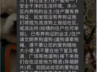 物业管家称将在小区喷洒对犬类有毒药品，居委会：没实际投放，发通知员工已停职