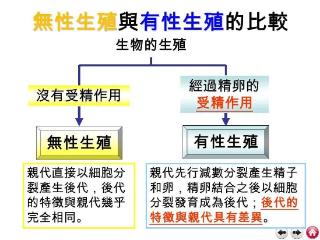 研究发现，卵子会更偏爱某些人的精子，甚至为其“开后门”！