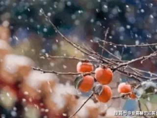 小雪过后，5种“暖胃食物”要常吃，脾胃暖和了，出门再也不怕冷！