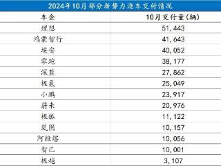 30万元，纯电分水岭