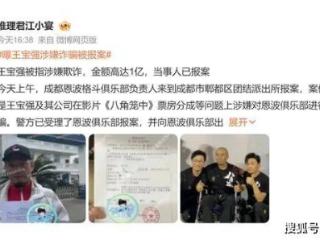 王宝强 “亿元诈骗” 风波：真相扑朔迷离，谁在说谎？