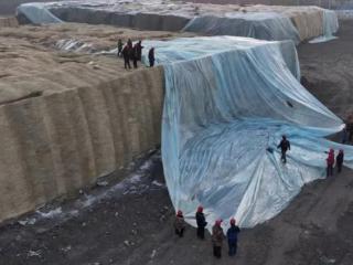 存冰即将启用！哈尔滨冰雪大世界冰建施工即将开始，将打造历届规模最大的冰雪主题乐园