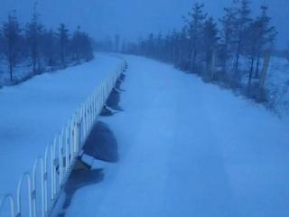 北京下雪了！最新雪景图——