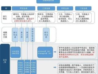 甲流、乙流、禽流感……都是流感，有什么不同？