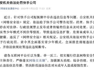 快手被罚：电商VS慢脚，谁才是下沉市场的真相？