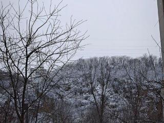 东北大降温：铁岭飘下今冬第一场雪，一夜陡降超10℃！中央气象台发布寒潮黄色预警