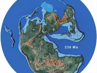 2.3亿年前，地球下了一场绵延200万年的大雨，把恐龙送上地球霸主的宝座