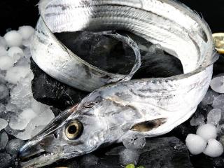 心脏决定寿命！建议中老年人：常吃这种食物，越来越年轻！