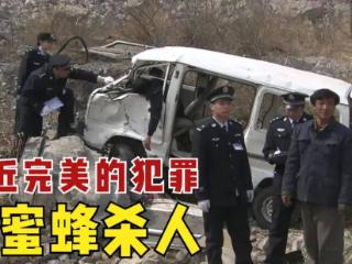 男子开车坠崖身亡，警方调查后发现，凶手在用蜜蜂杀人