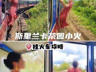 中国游客为拍“挂火车”意外坠落，实测斯里兰卡网红小火车：运行时不关车门