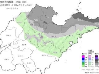 雪来了！山东这些地方即将迎来不同程度降雪