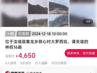 起拍价4650元仍无人出价，湖南汝城县一村林权16亩流拍