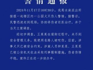 母女在公园遭4条大型犬撕咬 涉案2人被采取刑事强制措施 律师：或涉嫌以危险方法危害公共安全罪