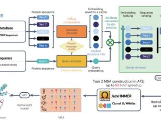 科学家基于AI模型检测蛋白质同源物，为蛋白质鉴定提供解决方案