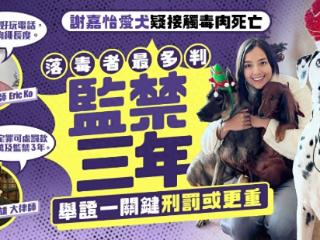 港姐谢嘉怡爱犬疑遭毒死，投毒者最多判监三年？