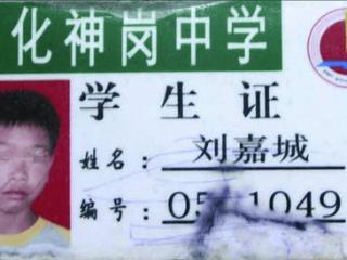 广东初中生被5人霸凌，父亲发现后，拿铁管将霸凌者活活打死，被判17年