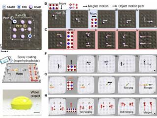 科学家研发全新磁控变形材料，不用触碰也能移动物体