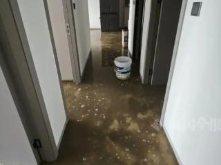 婚房被粪水浸泡！业主崩溃：全屋都是，无法接受