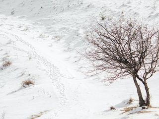 冯俊熙/王雪夺得自由式滑雪女子空中技巧双人同步金牌