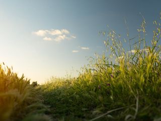 北陀镇：深挖特产资源 推进乡村全面振兴