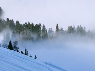 两天两金！刘梦婷夺得自由式滑雪女子大跳台金牌