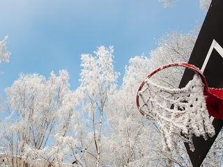 CBA排名彻底乱了，广东队捡到宝要冲冠军，辽篮前四要没戏